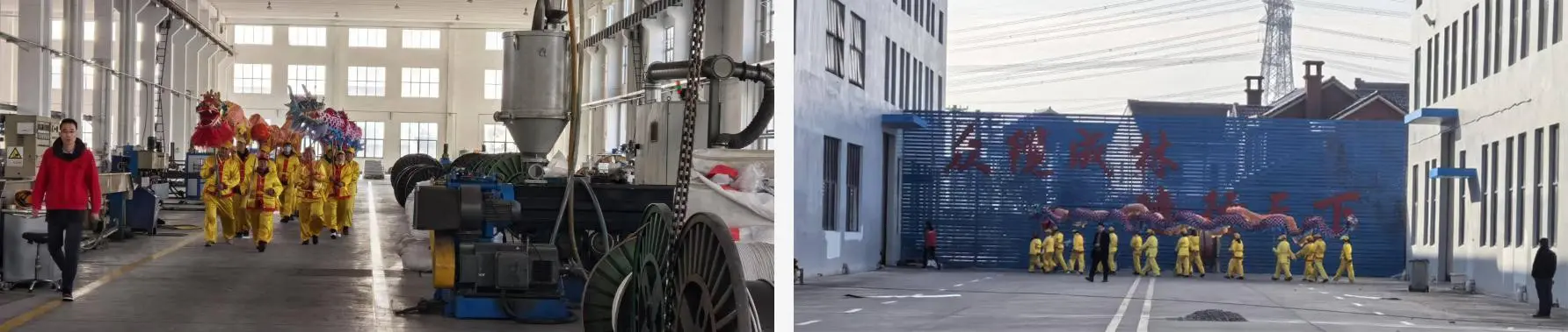 Start work in 2025, Dragon.jpg